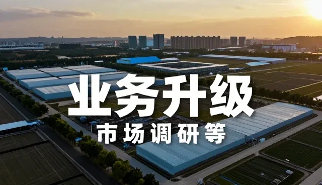 市场调研在财税咨询中的深化应用与趋势洞察